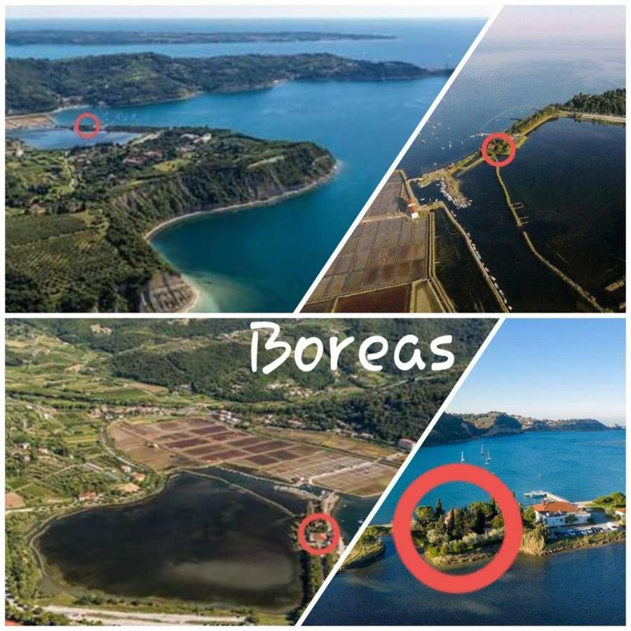 Apartment Boreas Strunjan Dış mekan fotoğraf